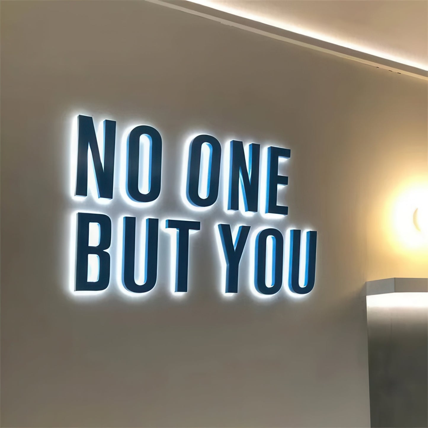Custom LED Signs no one but you sample